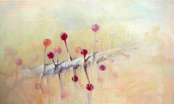 Drosera