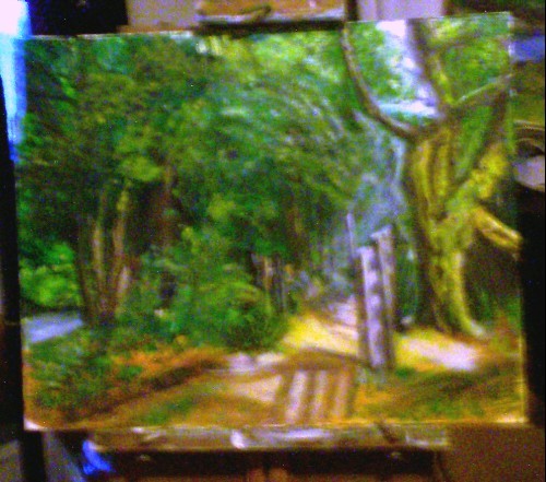 dshady wood