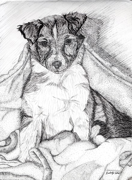 Baby Tassy