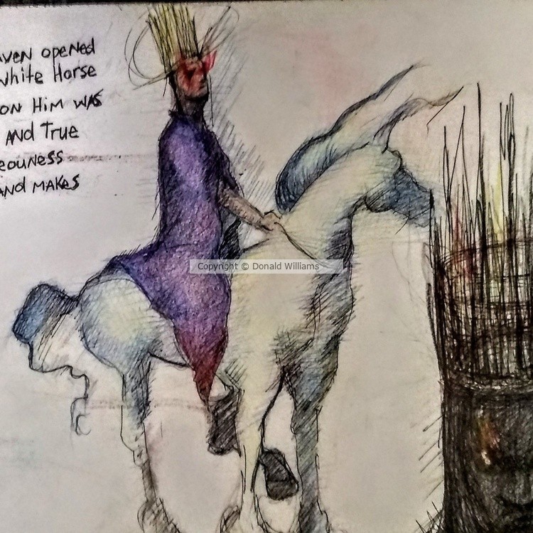 From the archives sketchbook of DonTWms
