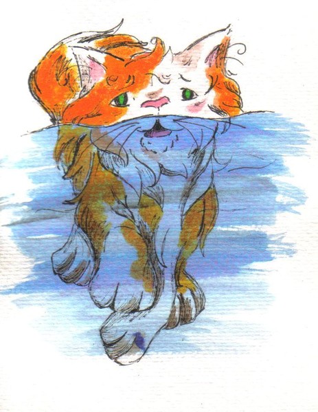 The Kitten Swims