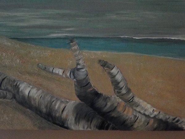 Driftwood