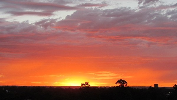 A Lion King sunrise in Omaha, Ne 