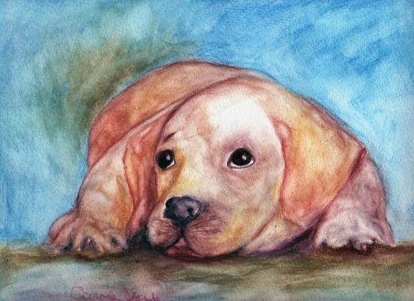 Gold Puppy