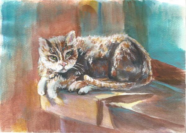 cat