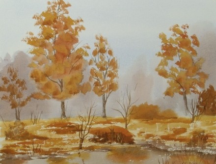 autumn in the woods 637