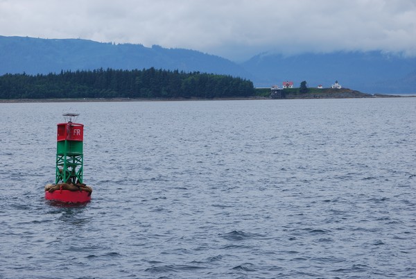 Fur Buoy