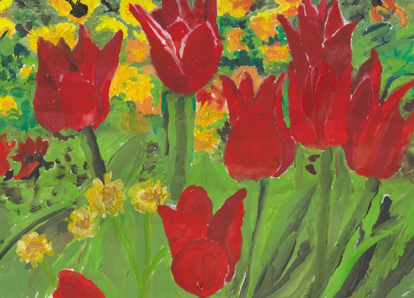 tulips