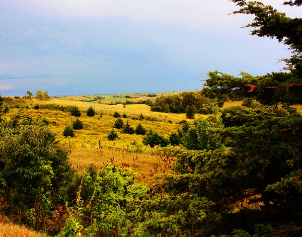 Nebraska Landscape2