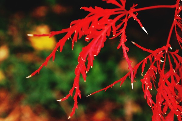 Fall Has Arrived