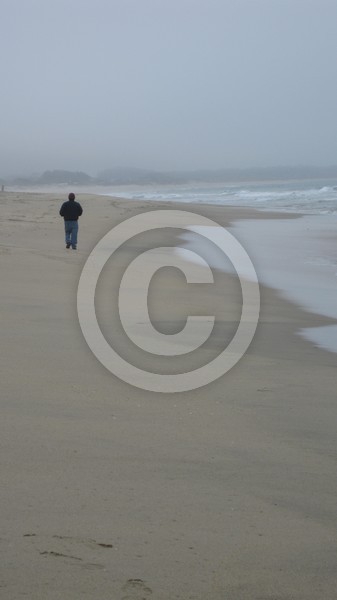 Solitude