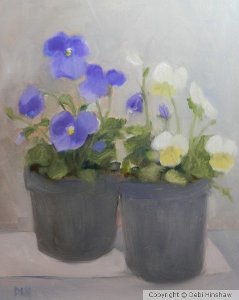 Spring Pansies