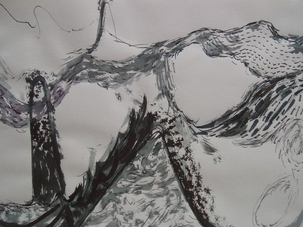 ink drawings July 09 006