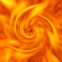 flame rose
