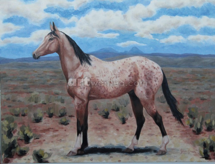 Mustang Sal