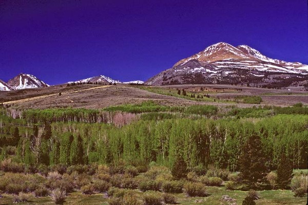 The Alpine Country