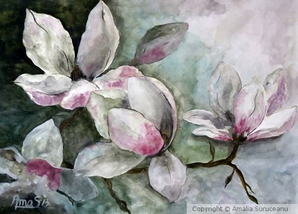 Magnolias