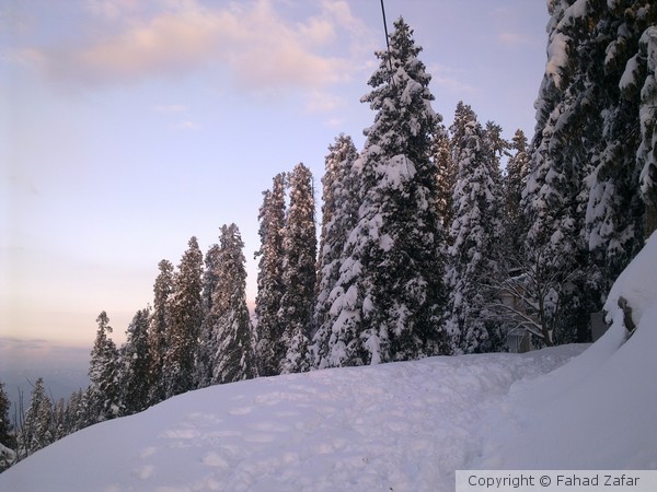 Snowy bank.