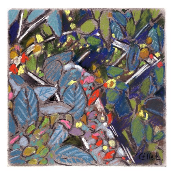 in the thorny bush T091117