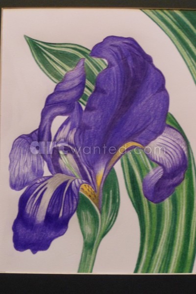 photo 008