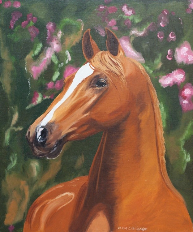 Noble horse portrait