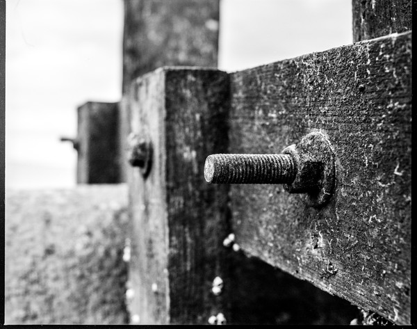 Rusty Beach Bolt