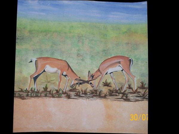 Impala