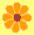 orangeflower