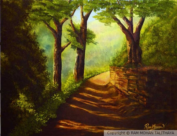 A PATH IN SHADE