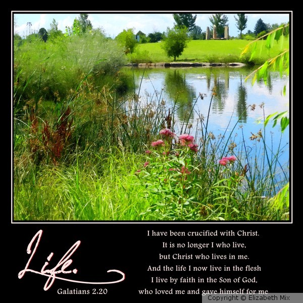 crucified with christ