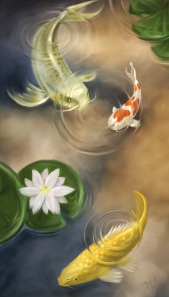 Koi
