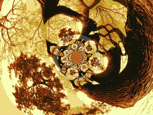 tree4