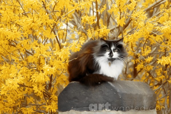 Cat In The Woods