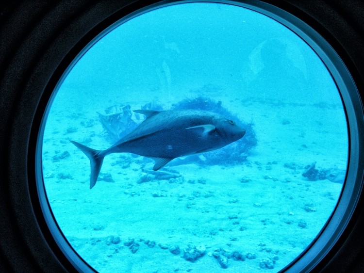 SUBMARINE AT HAWAII
