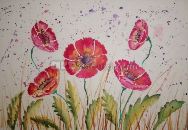 Pink buttercups