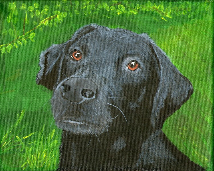 Labby