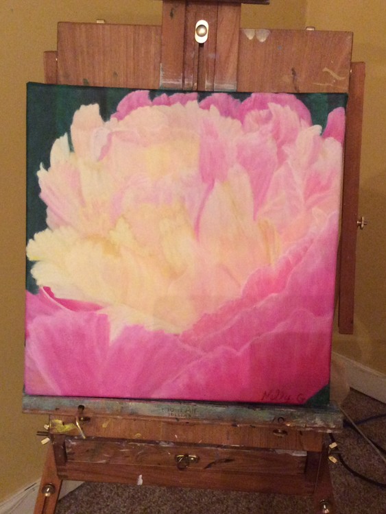 Peonies beauty