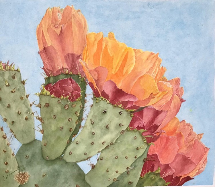Desert Bloom