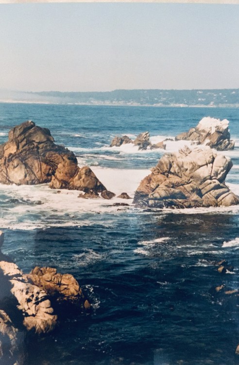 Monterey