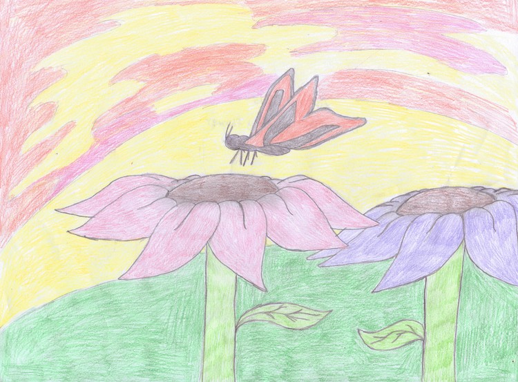 Butterfly on My Flower