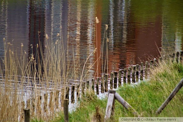 reflet