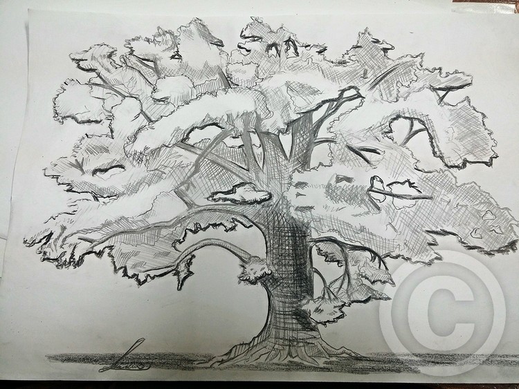 tree