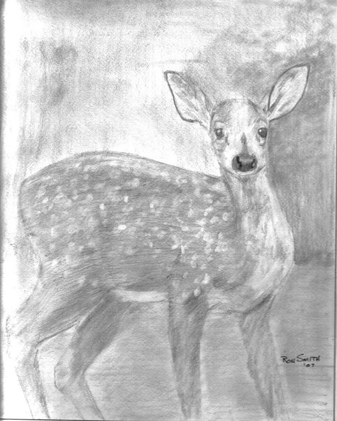 Fawn