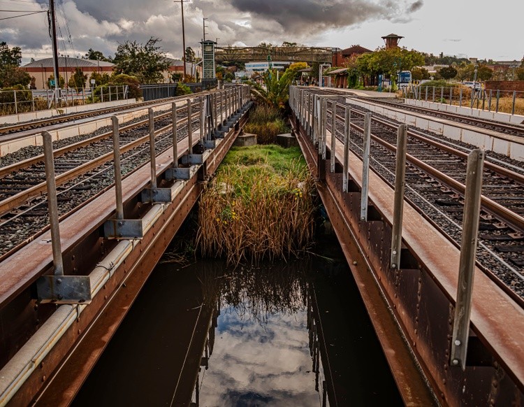 Alhambra Creek - October 14  2025