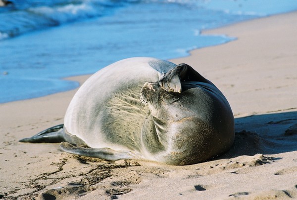 Can't you see I'm sleeping?