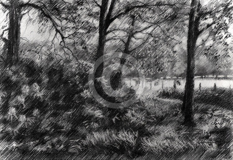 Clingendael – 16-03-23