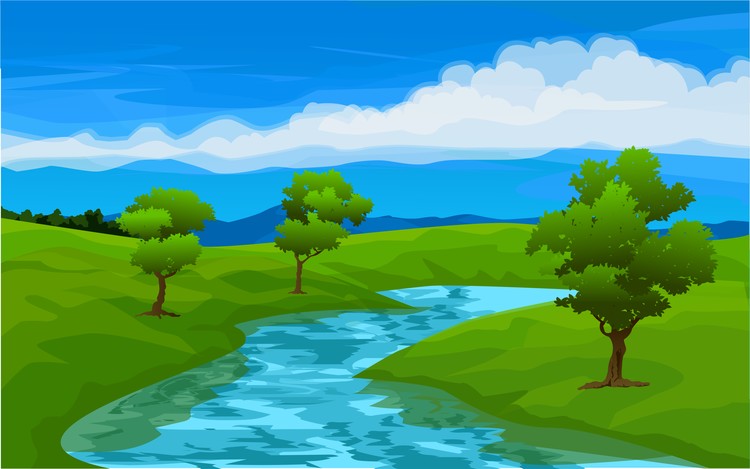 stream in meadow