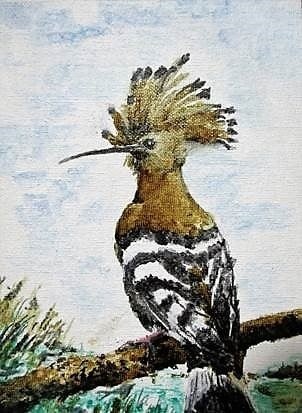 Hoopoe (Upupa epops) on canvas (6x8)