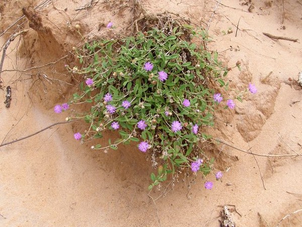 The beauty of Nature!