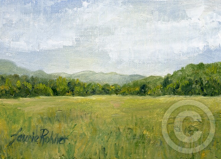 Fields Meet Mountains